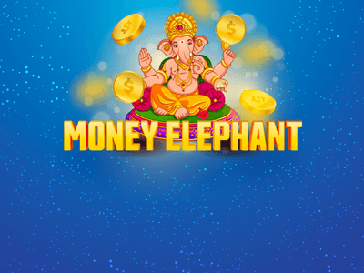 Platall Bet Promotions